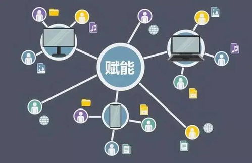從管控到賦能 企業管理的范式革命