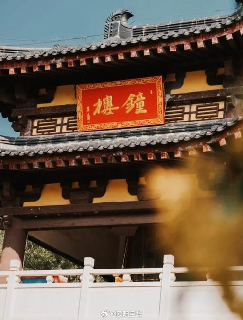 從一輛觀光車的停運(yùn)，看見(jiàn)免費(fèi)景區(qū)的服務(wù)悖論